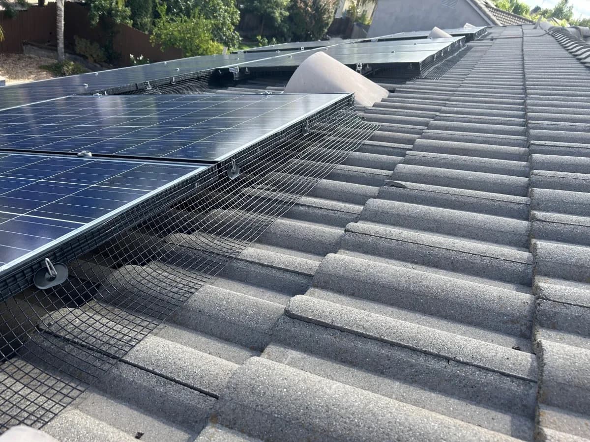 Bird Proofing